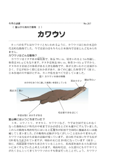カワウソ(PDF file