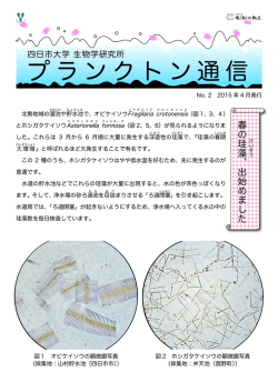 プランクトン通信No.2（2015年4月発行）