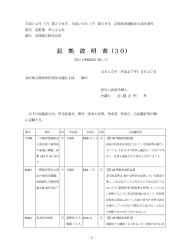 証拠説明書30