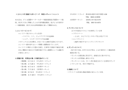 ＜2015年 RMC 九州シリーズ 特別レギュレーション＞ 本大会は、FIA