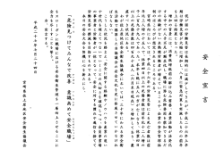 安全宣言