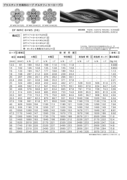 プラスチック充填形ロープ デルタフィラーロープ DF IWRC 6&times;WS (36) 構成