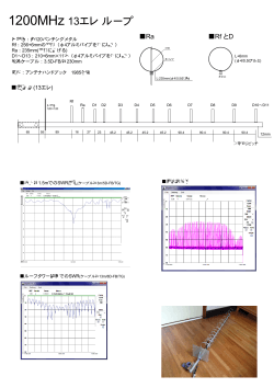 1200MHz 13エレ ループ