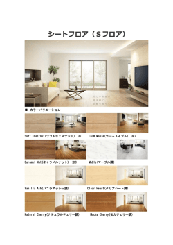 カラーバリエーション Soft Chestnut(ソフトチェスナット) ※1 Calm Maple