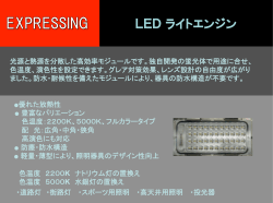 LED ライトエンジン - Stanley Electronic Components