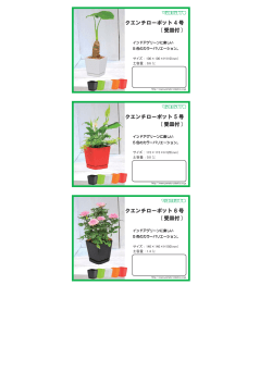 クエンチローポット