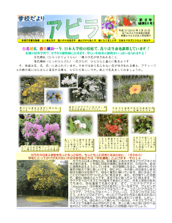 No.08（ 5月20日） - カラカス日本人学校ホームページ