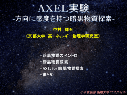 AXEL実験 -方向に感度を持つ暗黒物質探索