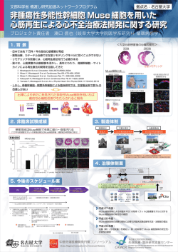 プロジェクト責任者 湊口 信也（岐阜大学大学院医学系研究科 循環病態学）