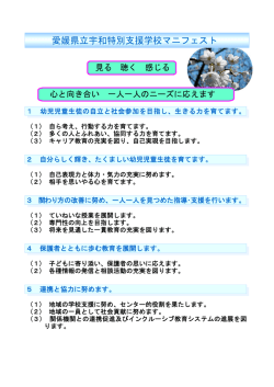 マニフェスト