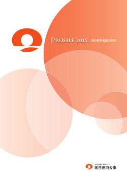 平成27年3月期「PROFILE2015」P01-30（PDF形式：4.7