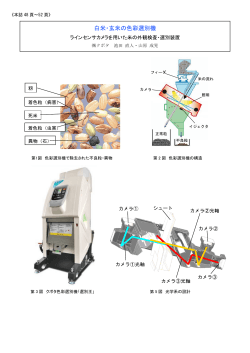 白米・玄米の色彩選別機