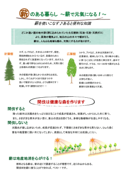 薪のある暮らし ～薪で元氣になる！～