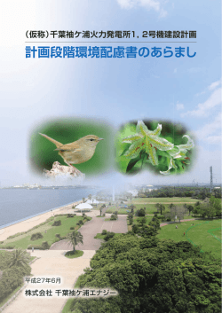 計画段階環境配慮書のあらまし - 株式会社千葉袖ケ浦エナジー