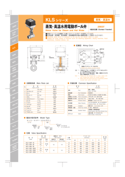 蒸気・高温水用電動ボール弁