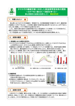 タマネギの高温期育苗技術の開発（PDF 263.15 KB）