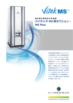 MS Plus