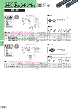 S-PSKN型/S