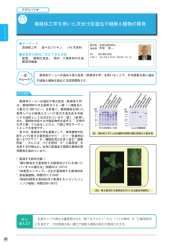 葉緑体工学を用いた次世代型遺伝子組換え植物の開発