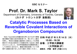 Prof. Dr. Mark S. Taylor - Department of Materials Science, Tottori