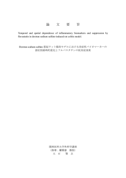 論文要旨（要約）
