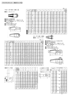 ワイヤソケット・両爪フック