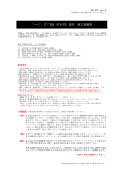 ラージエリア ES（骨材別）透明 施工要領書