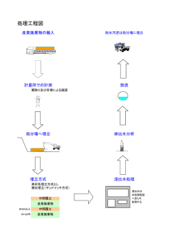 処理工程図