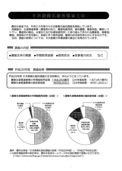 （参考資料）6次産業化取組実態調査とは