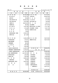 貸 借 対 照 表 - サンコムテクノロジ