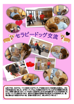 セラピードッグ