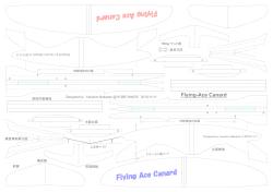 Flying-Ace Canard