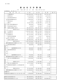 資 金 収 支 計 算 書