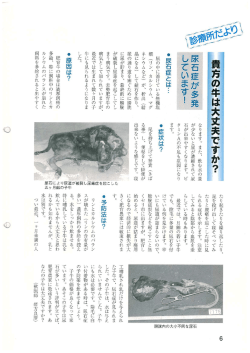 貴方の牛は大丈夫ですか？