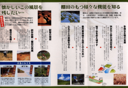 棚田のもつ様々な機能を知る(PDF文書)