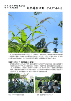 「ボランティア活動」を掲載しました。