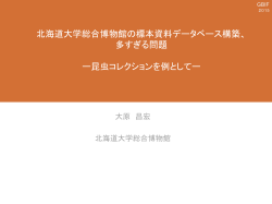 北海道大学総合博物館の標本資料データベース構築