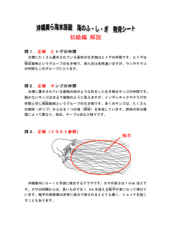 初級編 解説