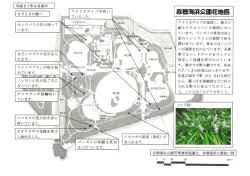 8月28日調べ 辞典