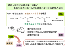 植物が産生する類金属代謝物の 動物生体内における代謝経路および