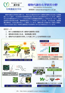 植物代謝生化学