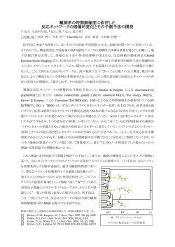 観測系の時間解像度に依存した 反応ネットワークの階層的変化とその