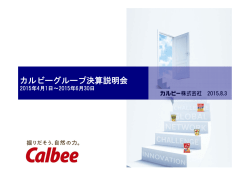 決算説明会資料