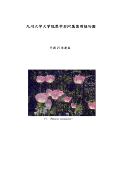 薬草園概要 - 薬用資源制御学分野研究室