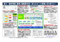 膨大・雑多情報の整理と図解図作成～見えなかった価値を浮き彫りに！