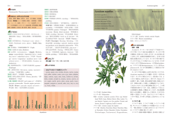 見本PDF - しんでん森の動物病院