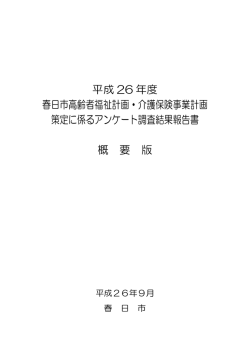 概要版（PDF 335キロバイト）