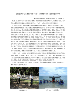 石垣島 WWF しらほサンゴ村インターン体験談その1：白保の海について
