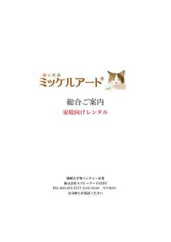 マニュアル