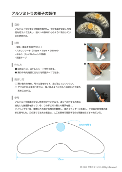 アルソミトラの種子の製作